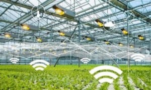​2023年智慧农业技术：迈向现代化农业的新时代